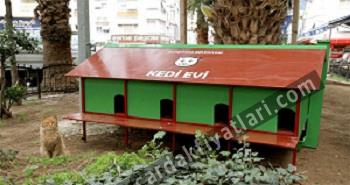Ahşap kedi kulübeleri